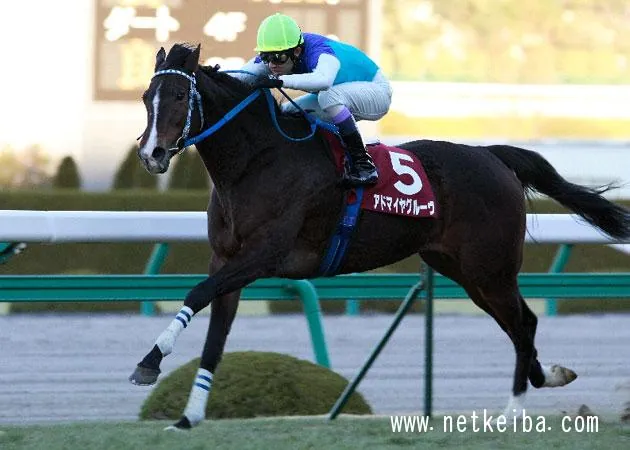 Additional IRL photograph of Admire Groove