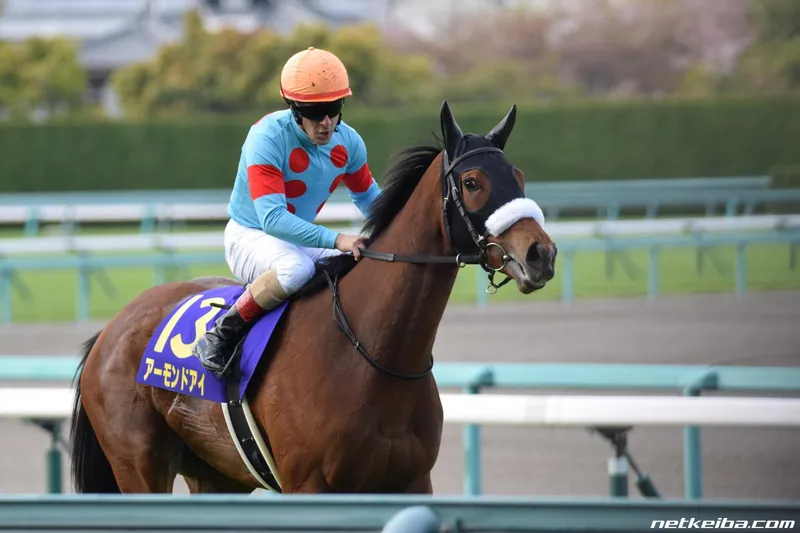 Additional IRL photograph of Almond Eye
