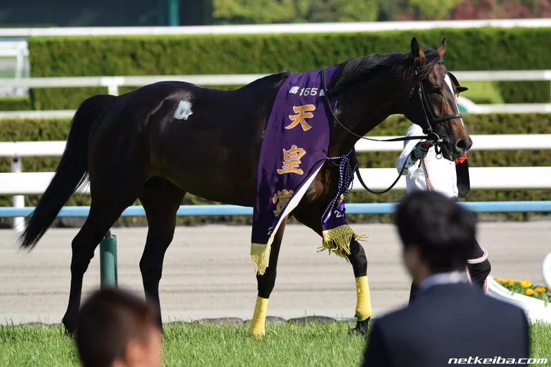 Additional IRL photograph of Kitasan Black