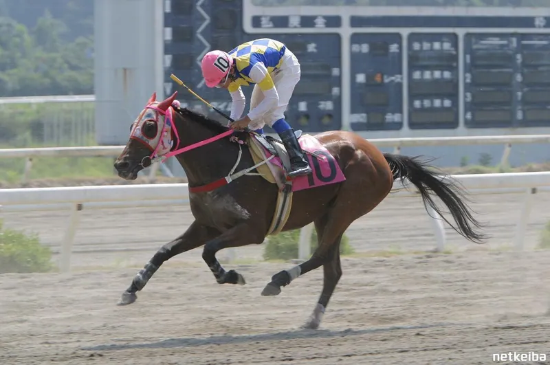 Archive photograph of Haru Urara