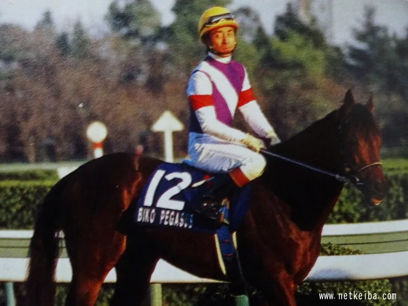 Additional IRL photograph of Biko Pegasus