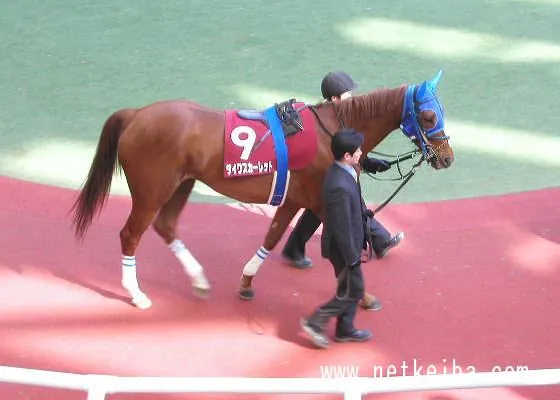 Additional IRL photograph of Daiwa Scarlet