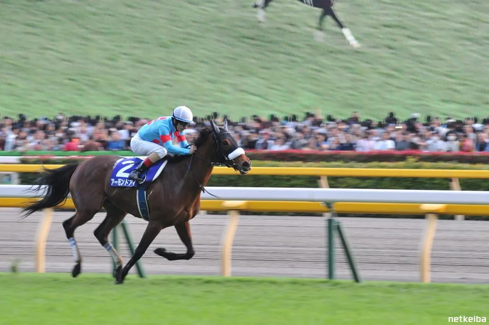 IRL Almond Eye