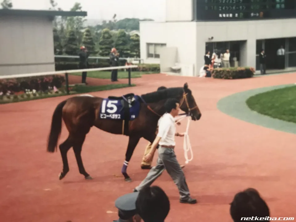 IRL Biko Pegasus