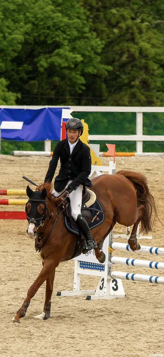 IRL Cheval Grand