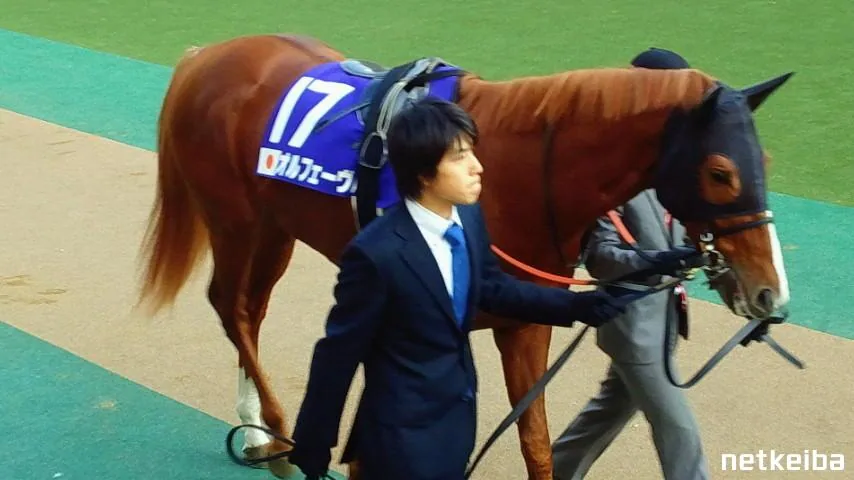 IRL Orfevre