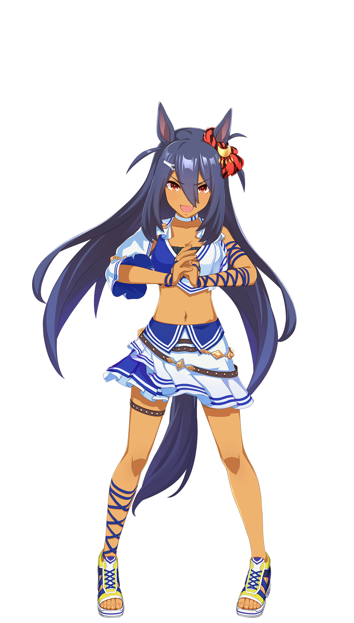 Hishi Amazon